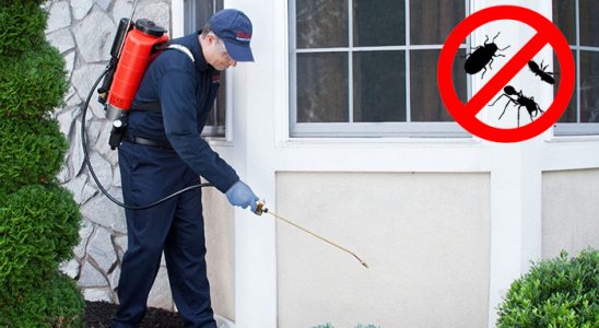 Atkaracalar Gümüşkurt İlaçlama böcek ilaçlama ve haşere kontrolü — ilaclama-tr.com